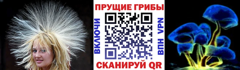 Купить  Володарск  Псилоцибиновые грибы мухоморы 